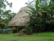 Belize-Interior-Trailblazer Jungle Ride